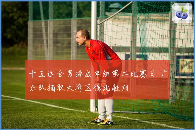 十五运会男排成年组第二比赛日 广东队摘取大湾区德比胜利