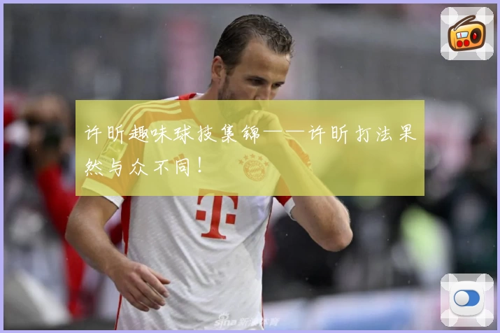 许昕趣味球技集锦——许昕打法果然与众不同!