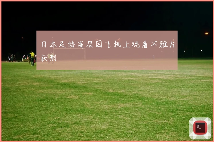 日本足协高层因飞机上观看不雅片获刑