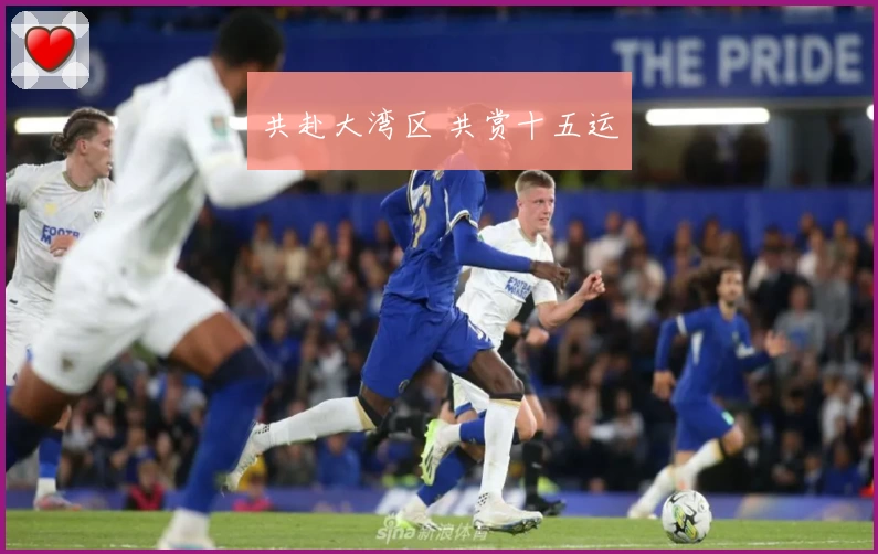 共赴大湾区 共赏十五运