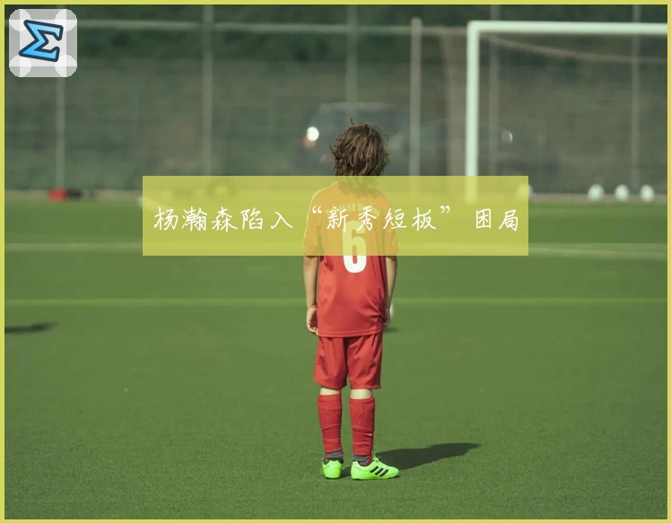 杨瀚森陷入“新秀短板”困局