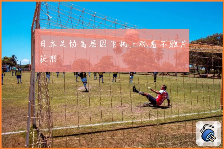 日本足协高层因飞机上观看不雅片获刑